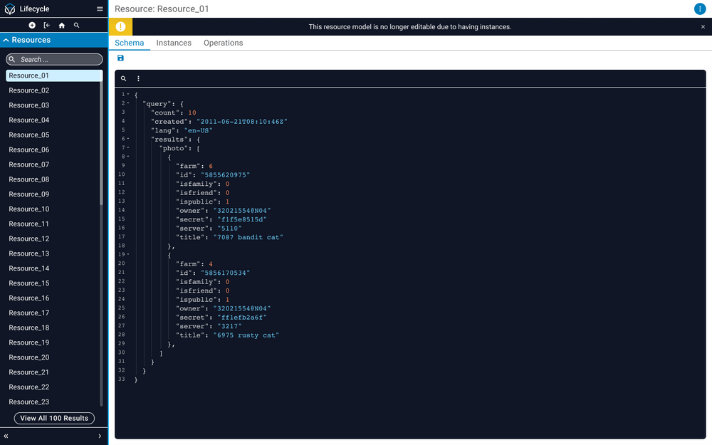 Resource Schema Page Resource Schema Page